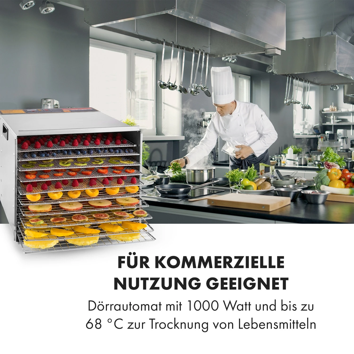 Fruit Jerky Steel 10 Dörrautomat 10 Etagen 1000 W Fläche: 1,5 M² Timer – Bild 2