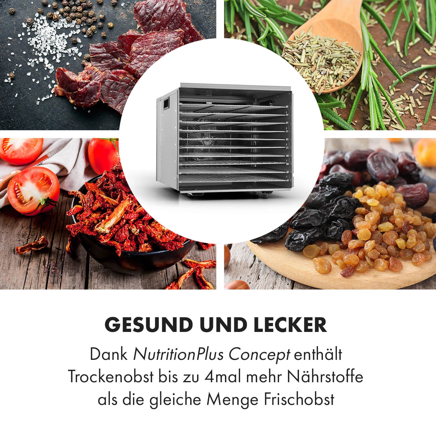 Fruit Jerky Steel 10 Dörrautomat 10 Etagen 1000 W Fläche: 1,5 M² Timer – Bild 5